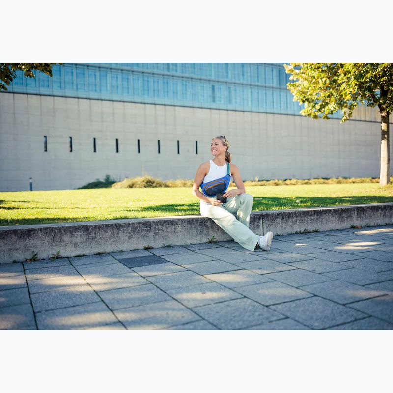 Сумка-бананка Osprey Daylite Waist Earth 2 л dark charcoal/blue flame 14