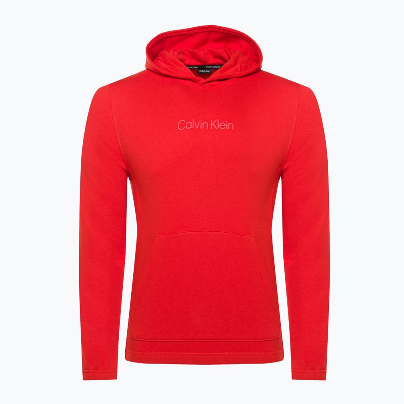 Кофта чоловіча Calvin Klein Hoodie XNZ hazard 5