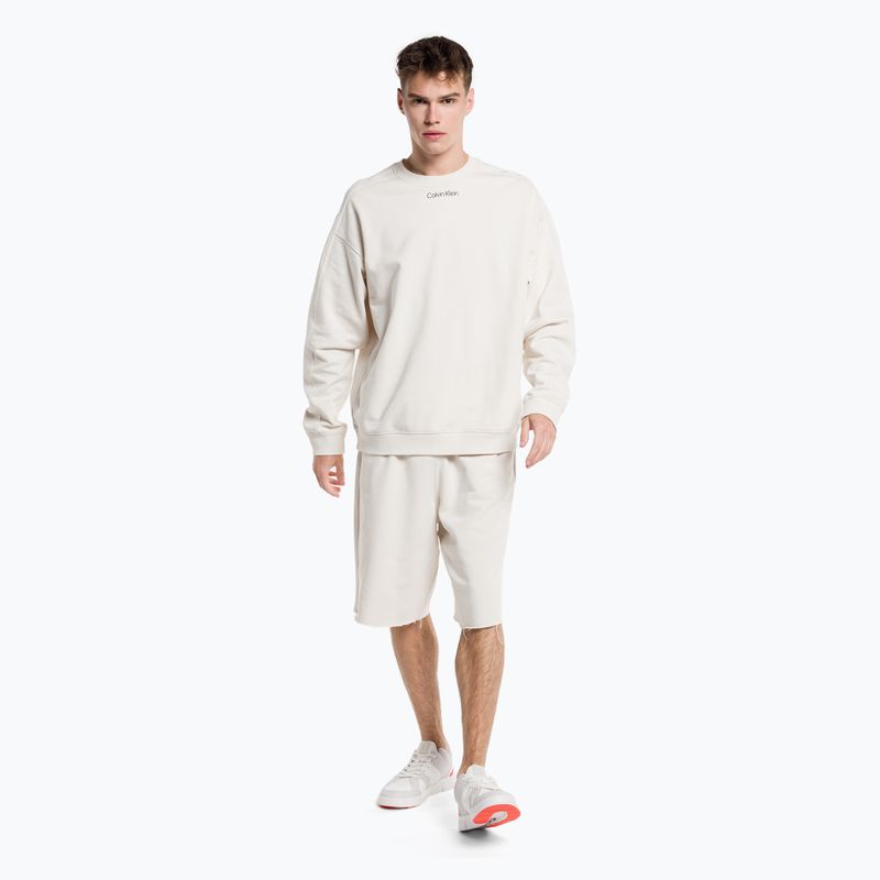Кофта чоловіча Calvin Klein Pullover 67U chalk 2