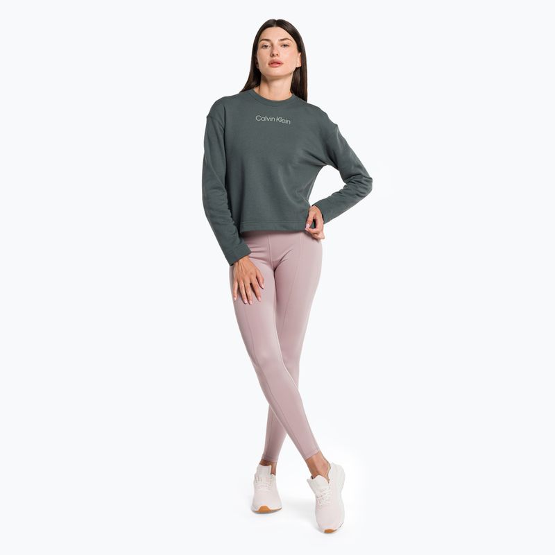 Кофта жіноча Calvin Klein Pullover LLZ urban chic 2