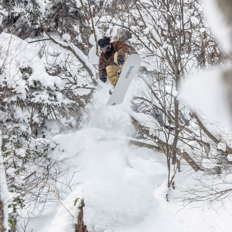 Чоловіча сноубордична дошка Bataleon Chameleon 17