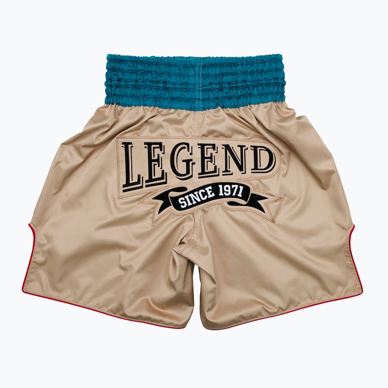 Боксерські шорти Fairtex Boxing Trunks BT2010 'Vintage' хакі 2
