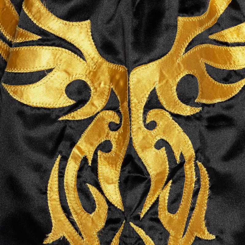 Чоловічі тренувальні шорти Top King Kickboxing 4