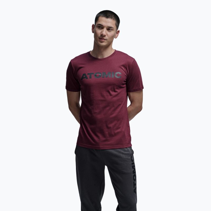 Футболка чоловіча Atomic Alps maroon