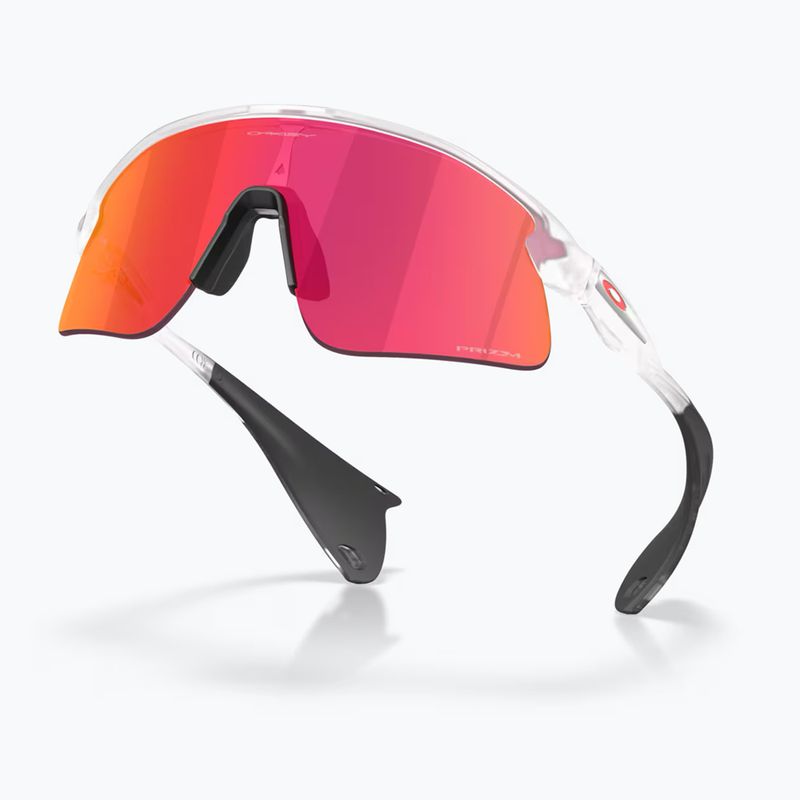 Сонцезахисні окуляри Oakley Stunt Devil matte clear/prizm field 4