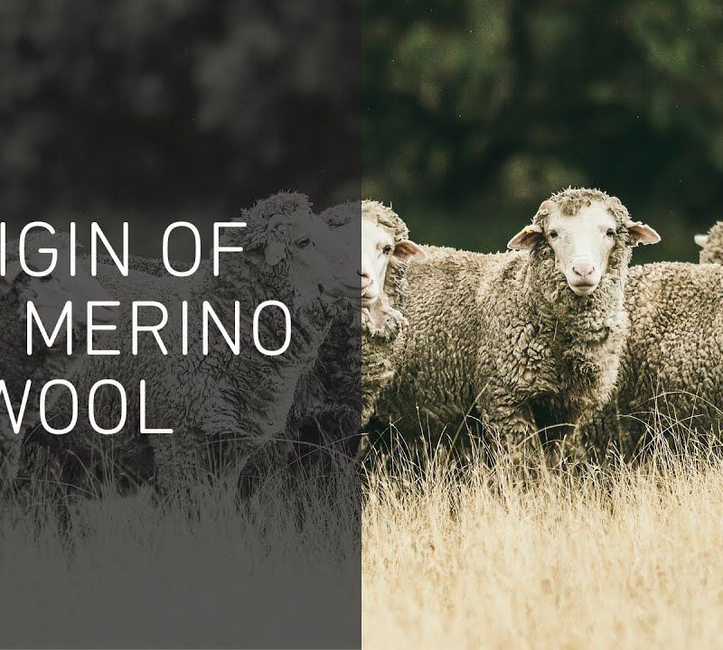 Футболка трекінгова чоловіча Ortovox 140 Cool Mtn Playground сіра 88302 4