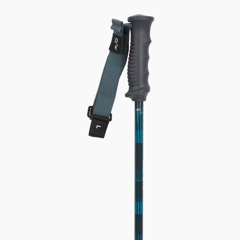 Палиці гірськолижні Fischer RC4 Noize grey / blue 2