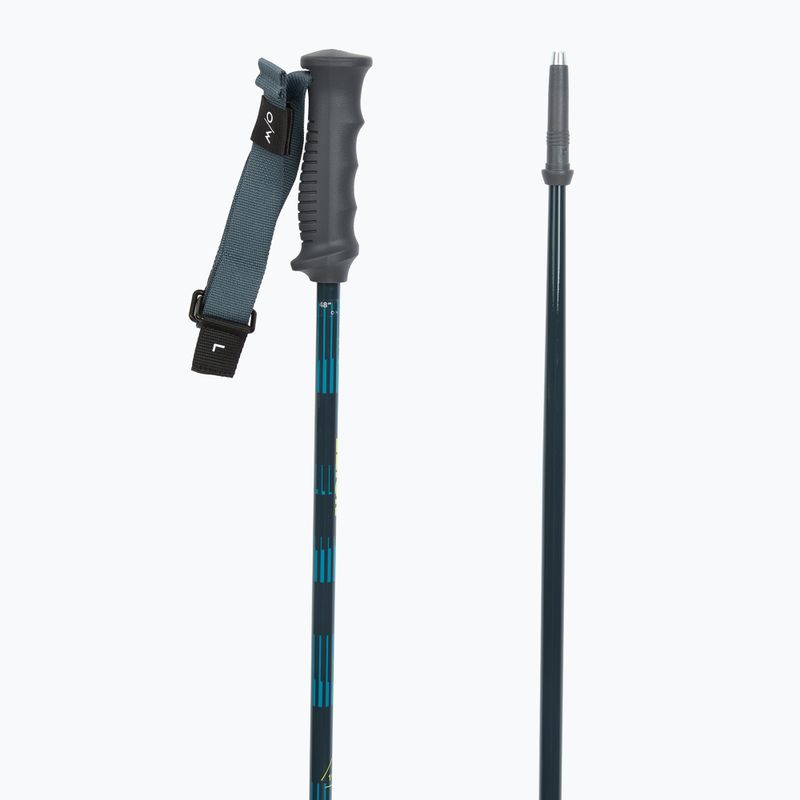 Лижні палиці Fischer RC4 Noize grey / blue 3