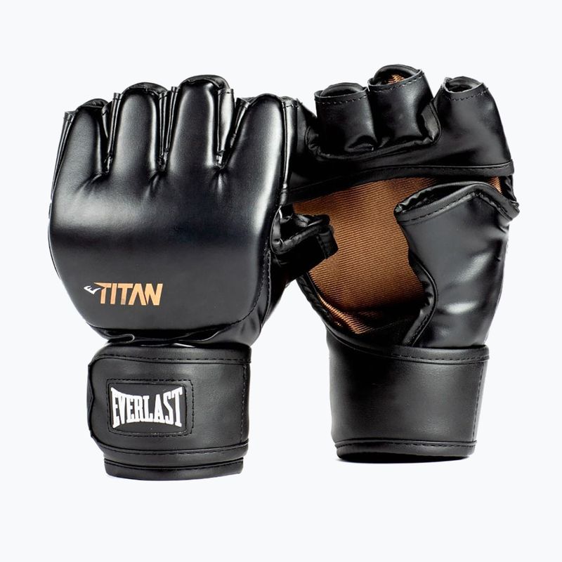 Рукавиці греплінгові Everlast Titan MMA black 2