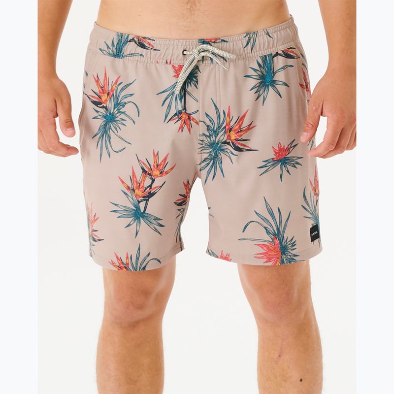 Шорти для плавання чоловічі Rip Curl Paradiso Volley taupe 4