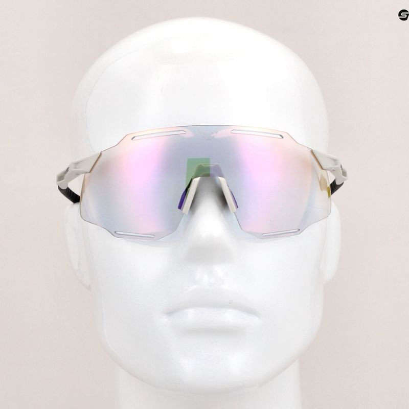 Сонцезахисні окуляри DYNAFIT Alpine Evo німб / чорні 7