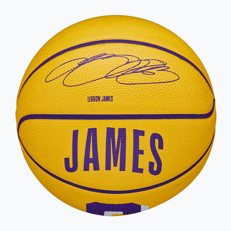 Баскетбольний м'яч Wilson NBA Player Icon Mini Lebron WZ4007201XB3 Розмір 3