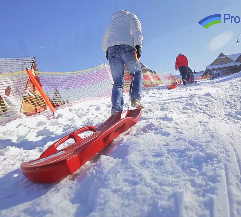 Санки Prosperplast SEA LION сині ISBLION-3005U 6