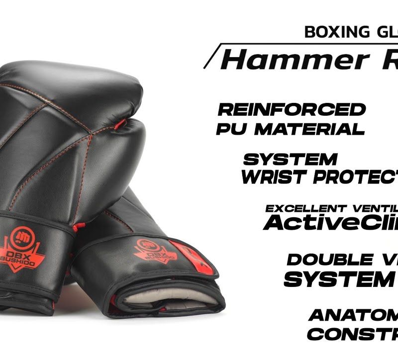 Боксерські рукавички для муай-тай DBX BUSHIDO "Hammer - Red" чорні/червоні 20