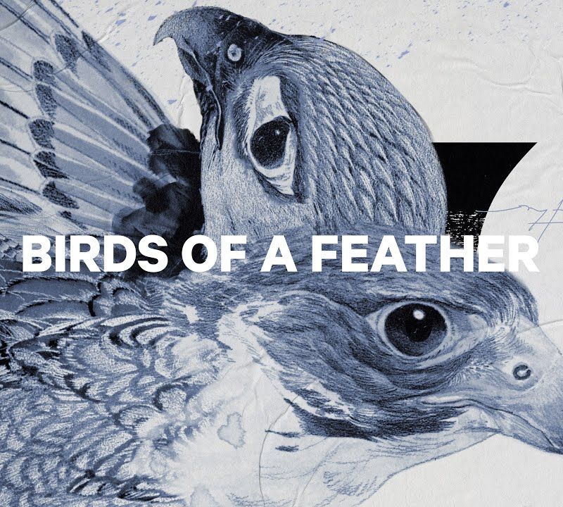 Сноуборд жіночий CAPiTA Birds Of A Feather 1221107 12
