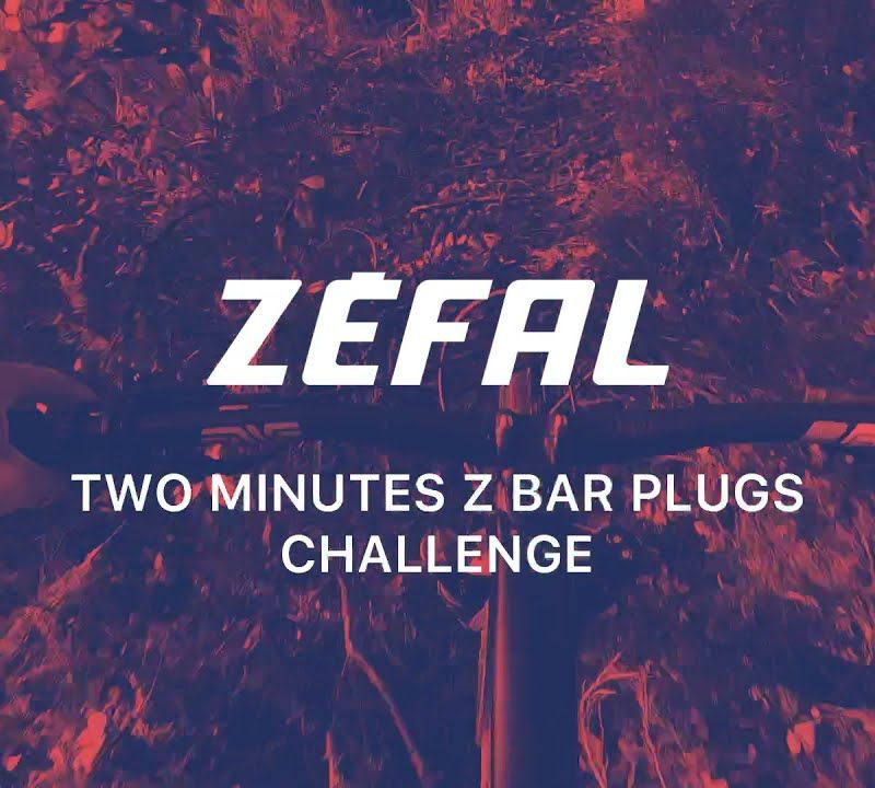 Комплект для безкамерних шин Zefal Z Bar Plugs Tubeless Repair Kit 9