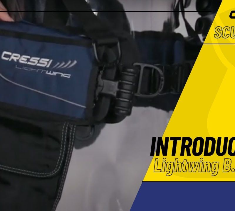 Жилет для дайвінгу Cressi Lightwing 11