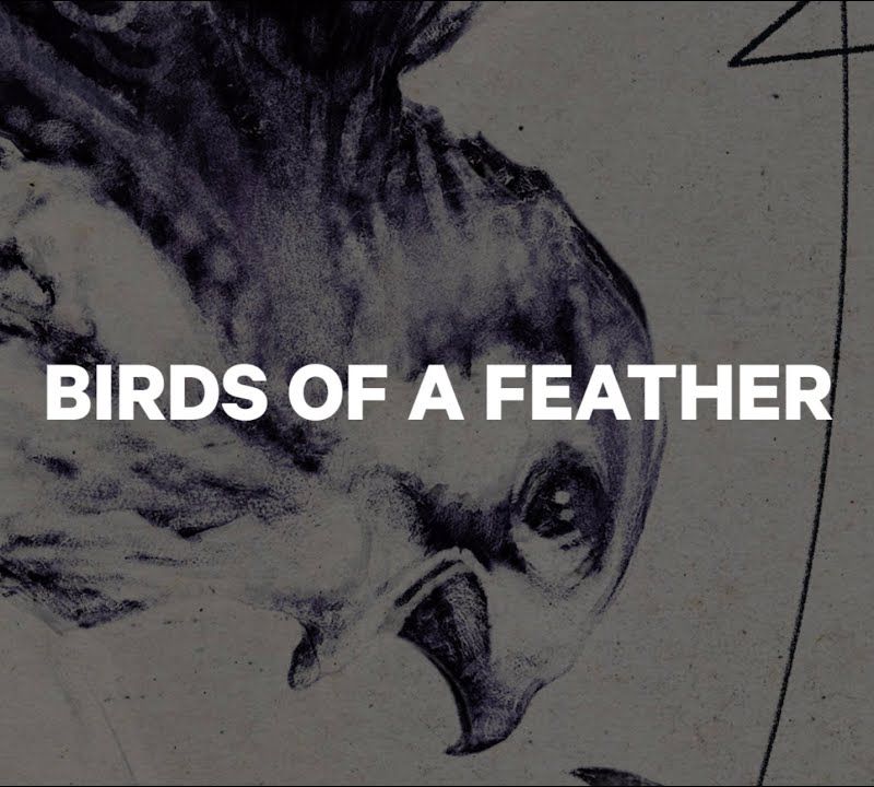 Сноуборд жіночий CAPiTA Birds Of A Feather білий 1211119 13
