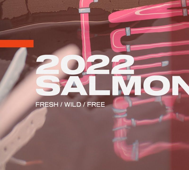 Вейкборд Slingshot Salmon рожевий 9