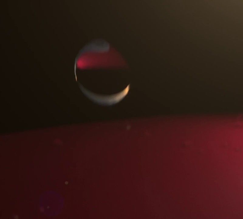 Куртка жіноча Helly Hansen Crew Hooded синя 33899_598 4