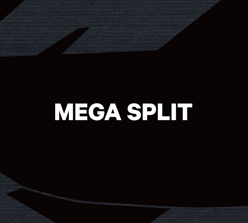 Сплітборд чоловічий CAPiTA Mega Split чорний 1221150 5