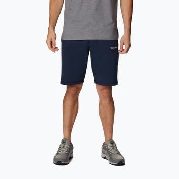 Шорти трекінгові чоловічі Columbia Logo Fleece collegiate navy