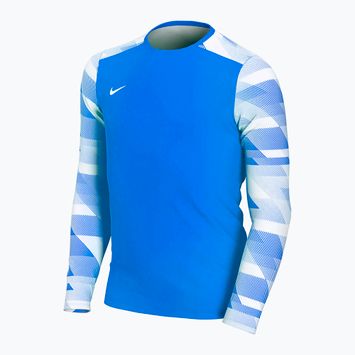 Футбольна кофта дитяча Nike Dry-Fit Park IV блакитна CJ6072-463