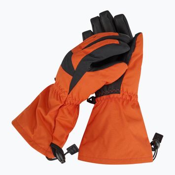 Рукавиці сноубордичні дитячі Dakine Yukon pureed pumpkin