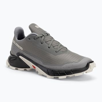 Кросівки для бігу чоловічі Salomon Alphacross 5 pewter/black/ghost