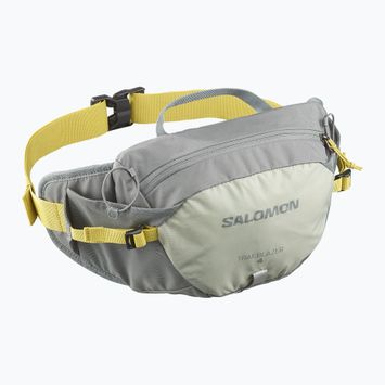 Сумка-бананка Salomon Trailblazer 4 л sedona sage/seagrass/cress green