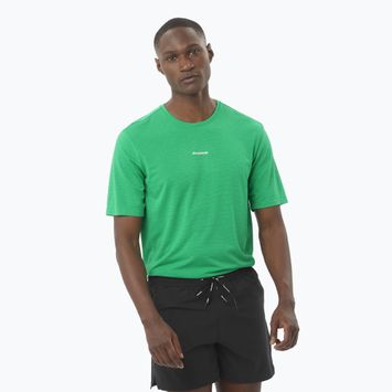 Футболка для бігу чоловіча Salomon SHAKEout Core parakeet
