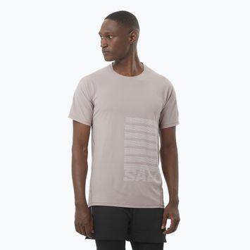 Футболка для бігу чоловіча Salomon Sense Aero Tee GFX etherea/white