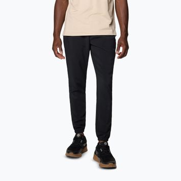 Штани трекінгові чоловічі Columbia Hike Jogger II black