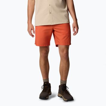 Шорти трекінгові чоловічі Columbia Washed Out tuscan