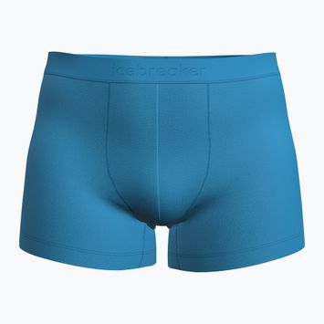 Боксерки термічні чоловічі icebreaker Merino 125 Cool-Lite Anatomica arctic