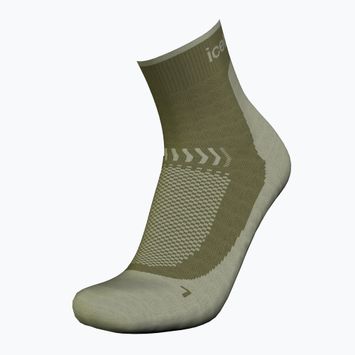 Шкарпетки трекінгові чоловічі Icebreaker Merino Hike+ Light Mini loden/lichen