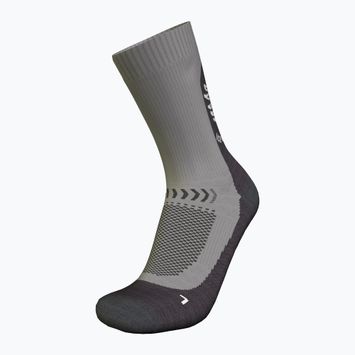 Шкарпетки трекінгові жіночі icebreaker Merino Hike+ Light Crew Fresh Fern alloy/obsidian/snow