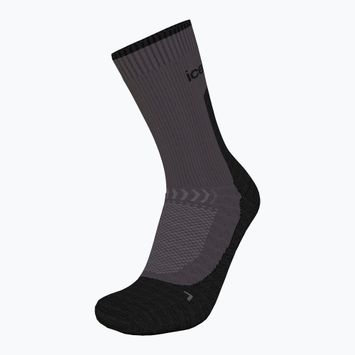 Шкарпетки трекінгові жіночі icebreaker Merino Hike+ Light Crew obsidian/black