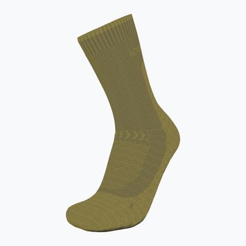 Шкарпетки трекінгові жіночі icebreaker Merino Hike+ Light Crew sphagnum/olive
