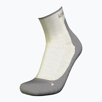 Шкарпетки трекінгові жіночі icebreaker Merino Hike+ Light Mini ecru hthr/alloy