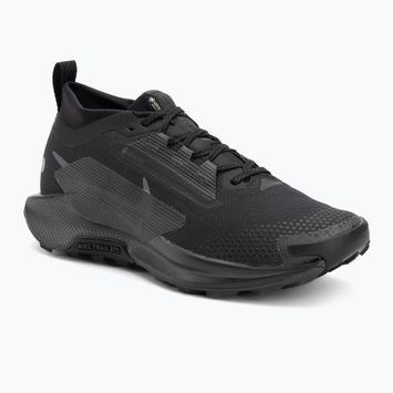Чоловічі бігові кросівки Nike Pegasus Trail 5 GORE-TEX black/anthracite/black