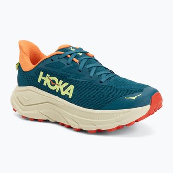 Кросівки для бігу жіночі HOKA Challenger 8 tidal wave/pampas grass