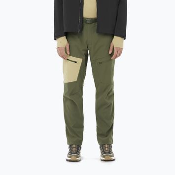 Штани трекінгові чоловічі Salomon Outerpath Utility grape leaf