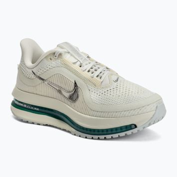 Кросівки для бігу жіночі Nike Pegasus Premium sea glass/malachite/metallic silver