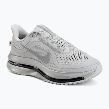 Кросівки для бігу чоловічі Nike Pegasus Premium photon dust/metallic Silver/black