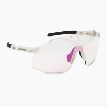 Сонцезахисні окуляри DYNAFIT Alpine Evo німб / чорні