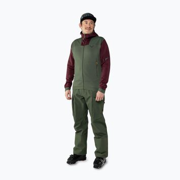 Штани гірські чоловічі DYNAFIT Tigard GTX thyme