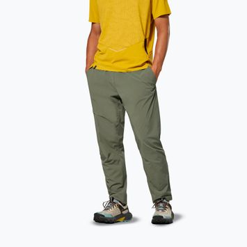 Штани трекінгові чоловічі Salewa Pedroc 3 DST Light faded green