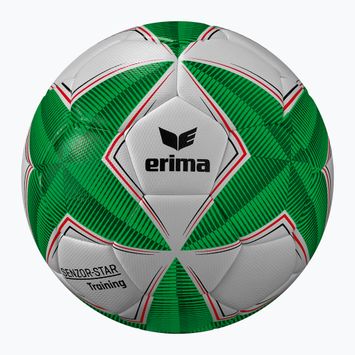 М'яч футбольний ERIMA Senzor Star Training green розмір 4