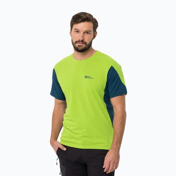 Футболка трекінгова чоловіча Jack Wolfskin Narrows Flesh Green 1807353